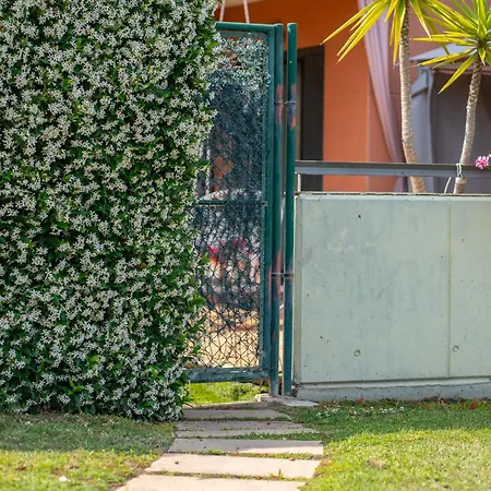 Charming Garden En 