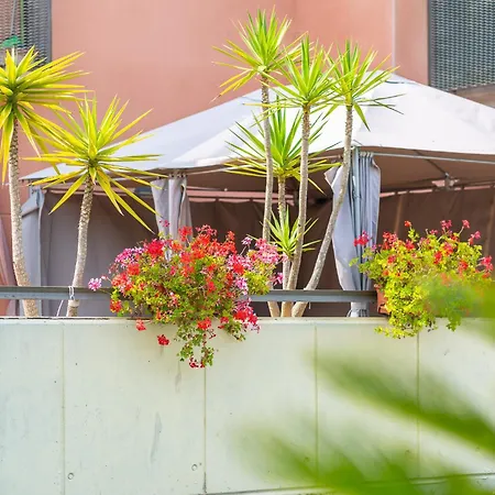 Charming Garden En Jardins De Sa Boadella Appartement Lloret de Mar