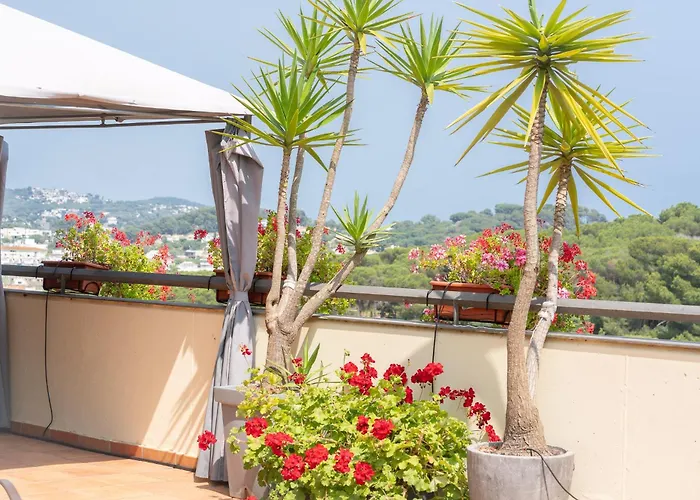 Charming Garden En Jardins De Sa Boadella * Lloret de Mar