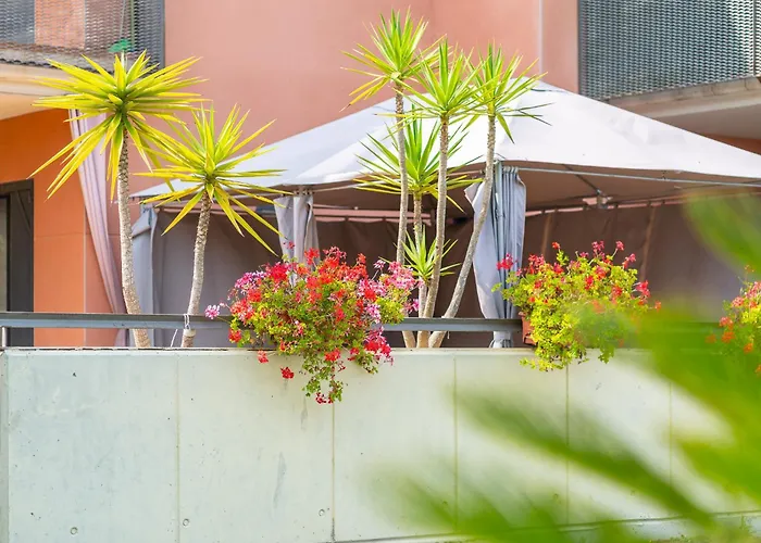 Charming Garden En Jardins De Sa Boadella Appartement Lloret de Mar